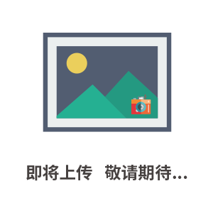 压电式自动雨量监测站